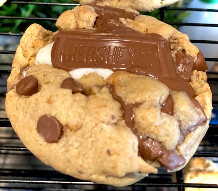 S'mores Gourmet Cookie